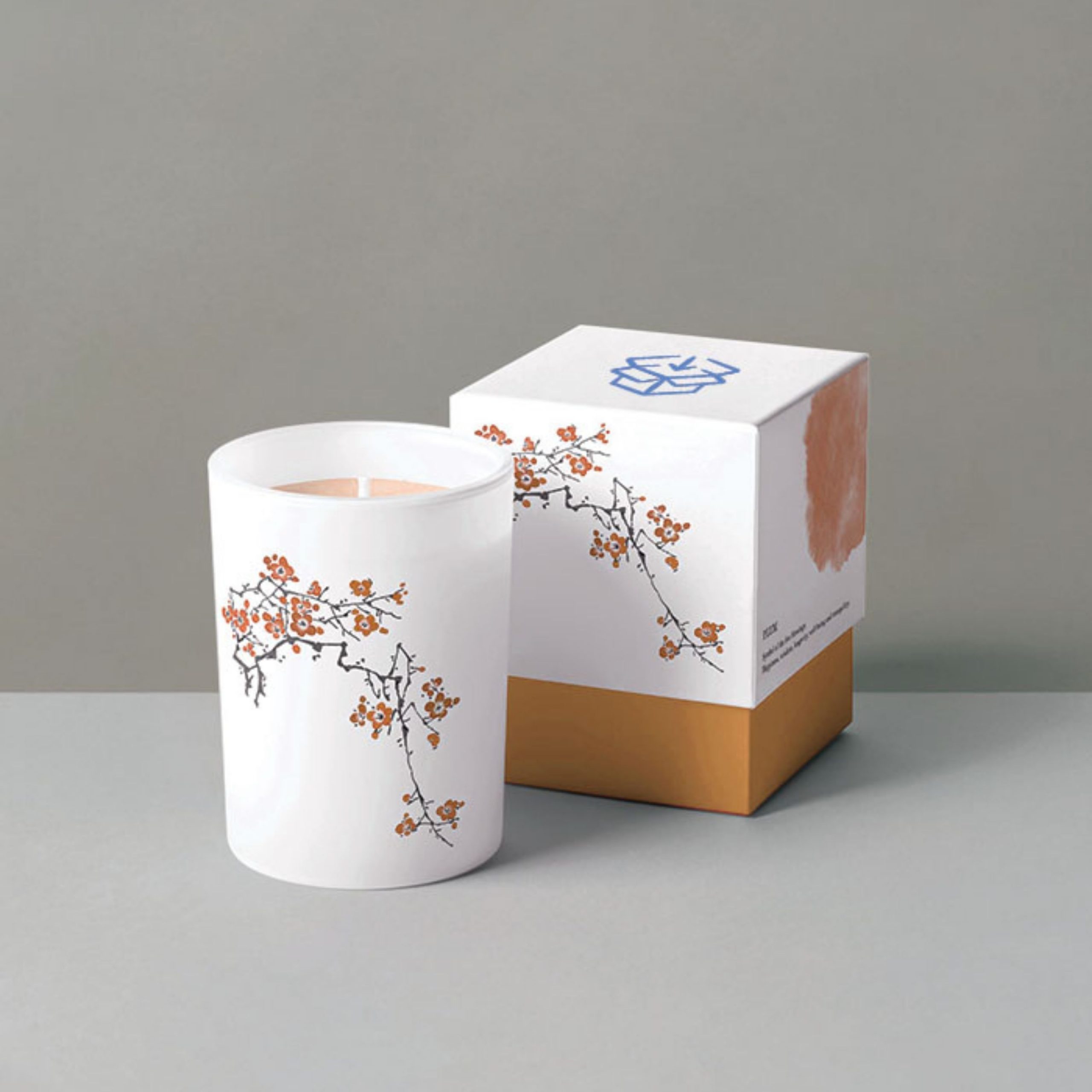 Custom Printed Packaging Boxes: The Ultimate Guide to Securely Presenting Your Products